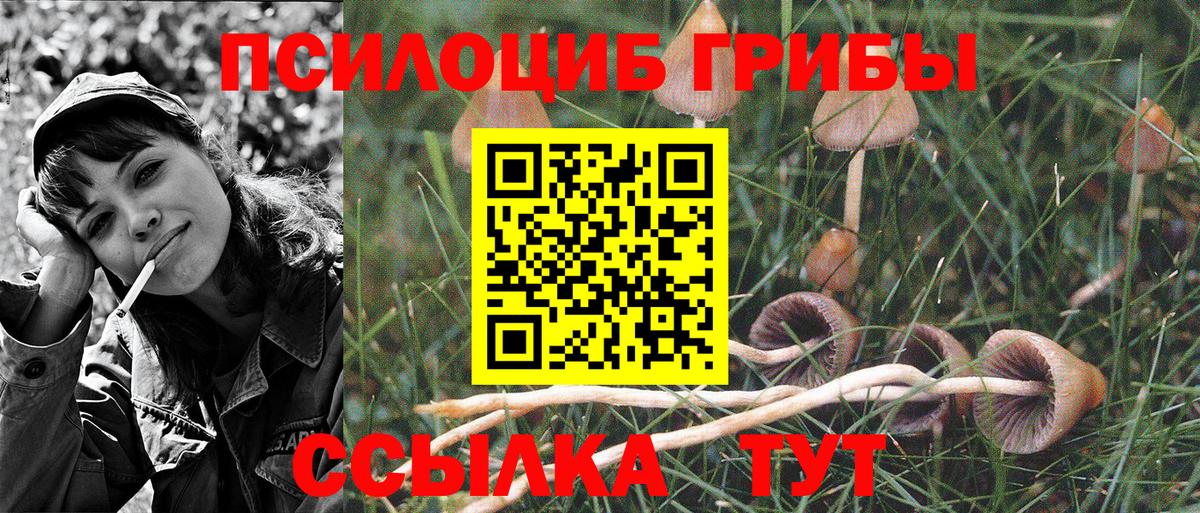 Псилоцибиновые грибы GOLDEN TEACHER Сердобск